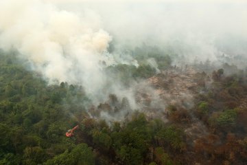 Dansatgas: Lahan gambut di Jambi masih menyimpan bara api