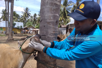 Di Desa Tabongo Timur Gubernur Gorontalo  shalat Idul Adha