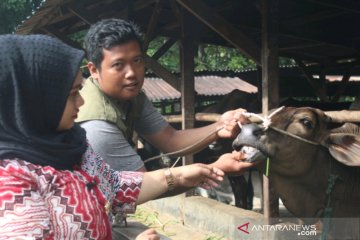 Pemkot Palembang jamin hewan kurban bebas penyakit