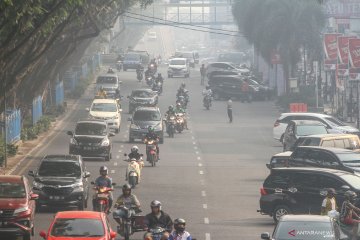 Kabut asap selimuti kota Pekanbaru