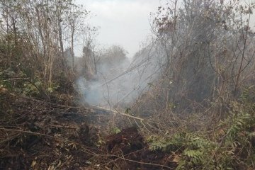 Sebagian sebaran api ikuti jalur perumpukan kayu di lokasi karhutla