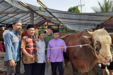 Bupati Sambas serahkan sapi kurban Presiden RI ke Dusun Sembuai