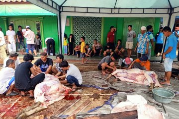 Berkah kurban bagi korban kebakaran Manggarai