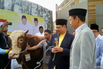Politisi Partai Golkar sumbang 24 sapi untuk kurban