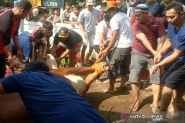 Butuh 15 orang taklukan kurban 'Limosin' Anies di Lebak Bulus