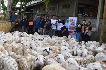 ACT DIY sembelih 95 ekor hewan kurban di Kulon Progo