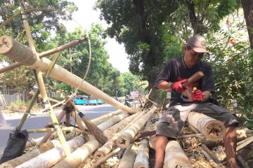 Jelang HUT RI, pedagang musiman batang pohon pinang ramai di Manggarai