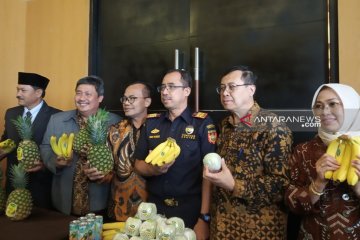 Potensi ekspor hortikultura luar biasa, bakal dongkrak pertumbuhan