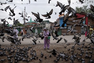 Ribuan orang berunjuk rasa di Inggris terkait Kashmir