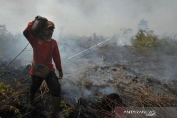 Titik panas melonjak di Sumatera jadi 192, Riau masih terbanyak