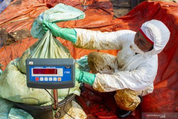 Pertamina terus mendata warga terdampak tumpahan minyak Karawang