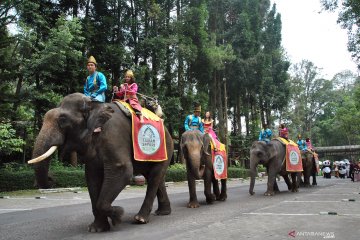 Parade satwa TSI Bogor