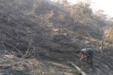 Kebakaran puncak Gunung Ciremai hanguskan 343 hektare lebih