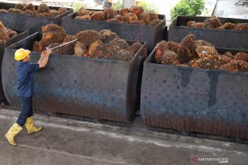 Sumatera Utara - Malaysia sepakat tingkatkan kerja sama bisnis