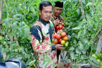 Boyolali gelar Agro Expo ciptakan peluang pasar pertanian