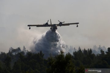 Kebakaran lahan di Yunani memaksa evakuasi dua desa