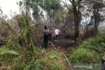 Pembakaran lahan di Palangka Raya sengaja dan diduga terorganisasi