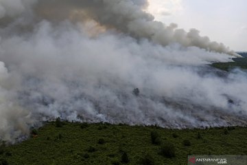 Akibat asap, Pemkab Musi Banyuasin minta maaf kepada warga Jambi