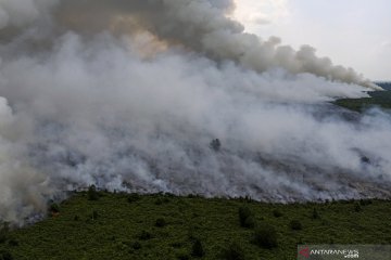 Karhutla di Musi Banyuasin