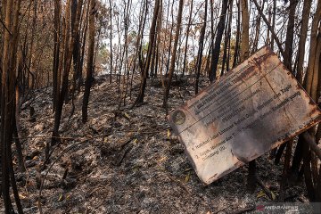 Mahasiswa Riau desak aparat usut kebakaran Taman Nasional Tesso Nilo
