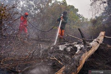 Selamatkan Taman Nasional Tesso Nilo