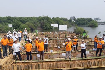 BKSDA DKI Jakarta dan YKAN gelar mangrove volunteers di Muara Angke