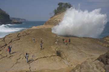 Warga pesisir Tulungagung pertahankan dua "pantai penyu"