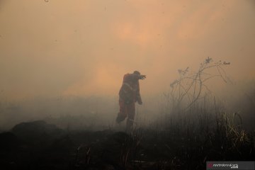 Asap kebakaran hutan Sumsel capai Riau dan Jambi