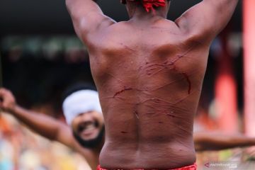 Tradisi Pukul Sapu negeri Mamala