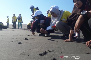 Di Pantai Pelangi Bantul 30 peserta SMN Riau melepas tukik