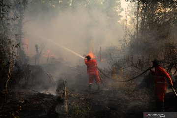 Luas area yang terbakar di Sumatera Selatan capai 1.822 hektare