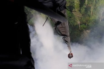 Jarak pandang di Pelalawan Riau turun jadi 1,5 km akibat asap
