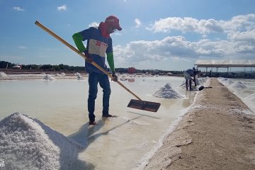 Luas tambak garam Desa Nunkurus Kupang capai 600 hektare