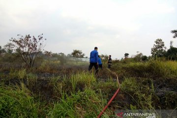 Selama Agustus, 5.500 meter persegi lahan terbakar