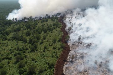Kebakaran lahan dekati lokasi konsesi perusahaaan Sinar Mas