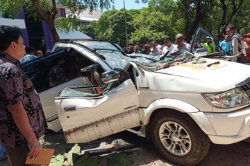 Satu tewas tertimpa pohon tumbang di parkiran Universitas Pancasila