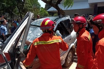 Angin kencang diduga sebabkan pohon tumbang di Universitas Pancasila