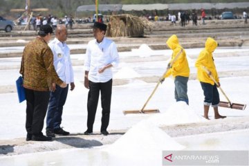 Presiden: Garam Nunkurus bisa menjadi garam Industri