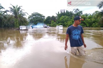 Simpang Pasaman Baru Pasaman Barat selalu banjir setiap hujan