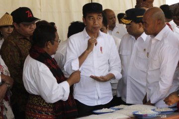 Presiden Jokowi tinjau tambak garam di Kupang