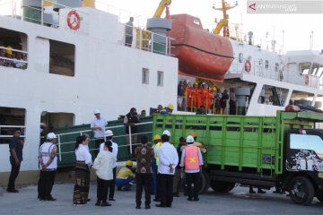 Presiden: Lima trayek kapal ternak singgahi NTT