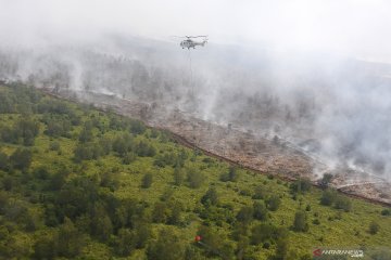 Pemadaman kebakaran hutan di Musi Banyuasin