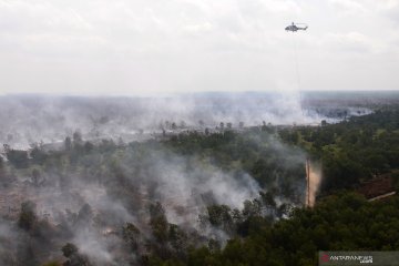 Cegah karhutla di Sumsel, KPH dijadikan andalan