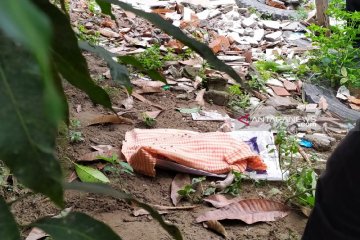 Mayat bayi ditemukan mengapung di Sungai Babura Medan
