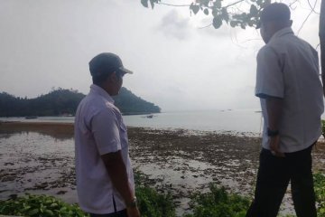 Buaya yang sempat muncul di Pantai Carocok Painan tidak tampak lagi