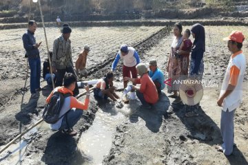 Kaji sumber air, tim ahli dikirim ke di Widoro Lor-Gunung Kidul