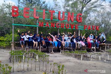 SMN Sulawesi Tenggara kunjungi Belitung Mangrove Park