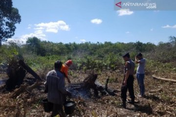 Tiga pembakar lahan ditangkap