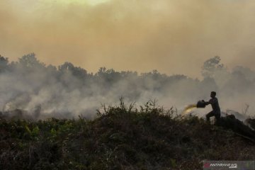 Pemkab Landak tindak tegas perusahaan pembakar lahan