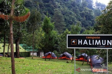 250 peserta HYCamp 2019 mendaki Gunung Halimun